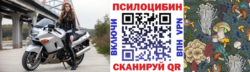 Купить где  Карабаш  Псилоцибиновые грибы GOLDEN TEACHER 